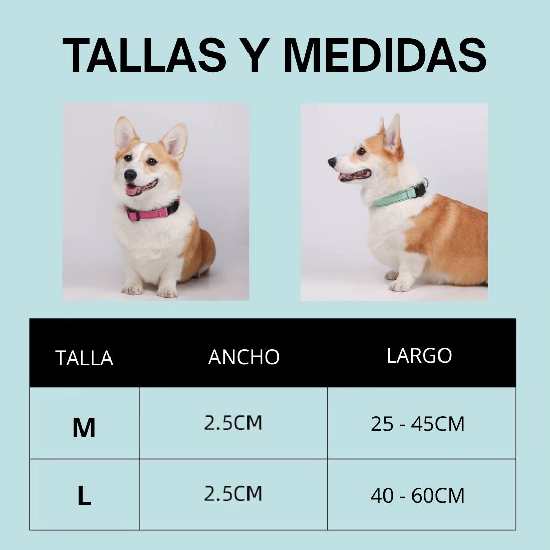 Rastreador para Perros + Collar