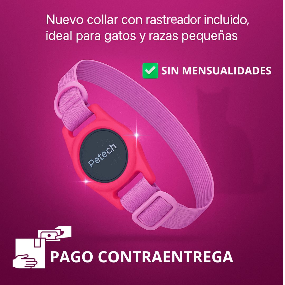 Rastreador para Gatos + Collar