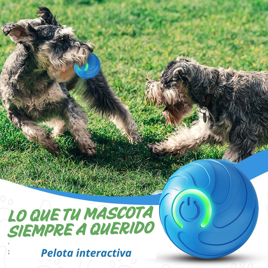 Pelota Interactiva