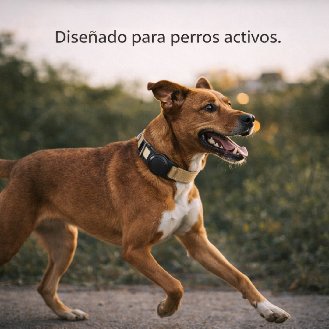Rastreador para perros compacto PETECH