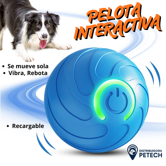 Pelota Interactiva