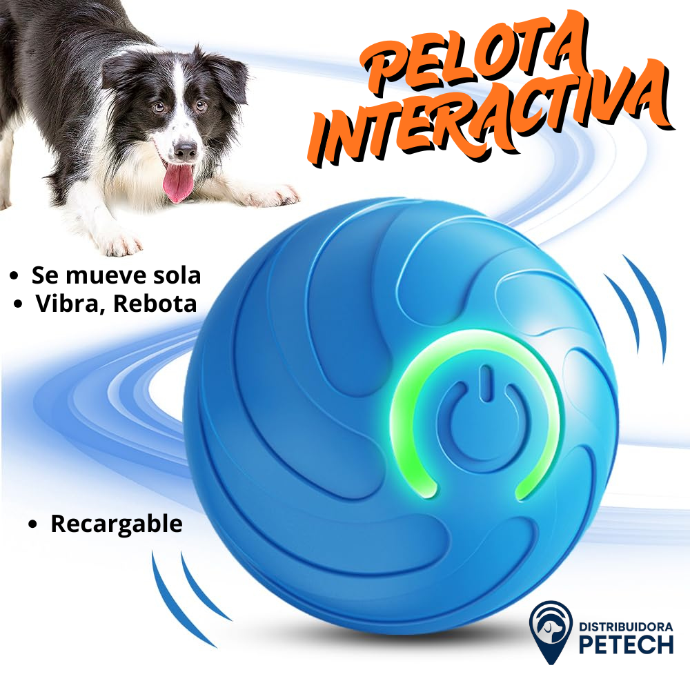 Pelota Interactiva