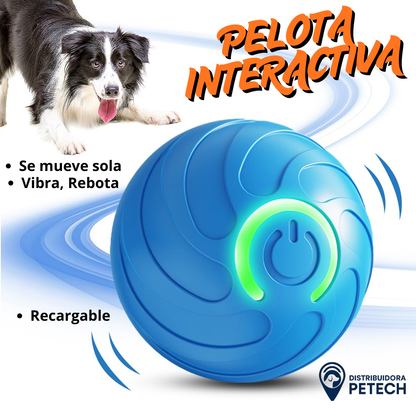 Pelota Interactiva