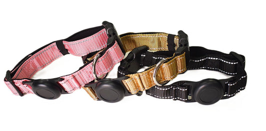 Rastreador para Perros + Collar