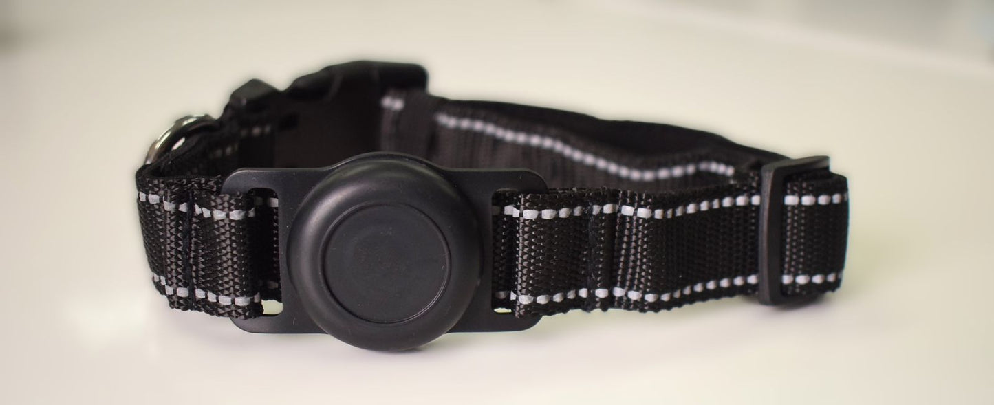 Rastreador para Perros + Collar